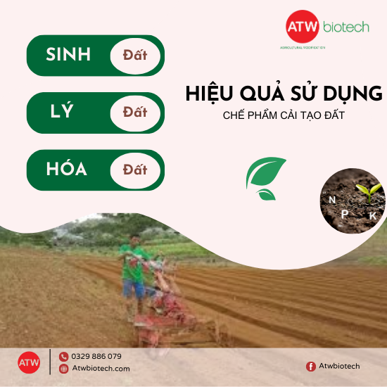 Hiệu quả khi dùng thuốc sinh học cải tạo đất