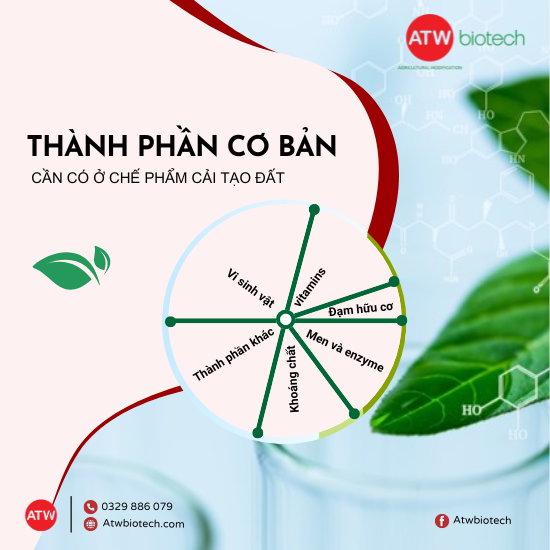 Thành phần sản phẩm cần thiết nhất