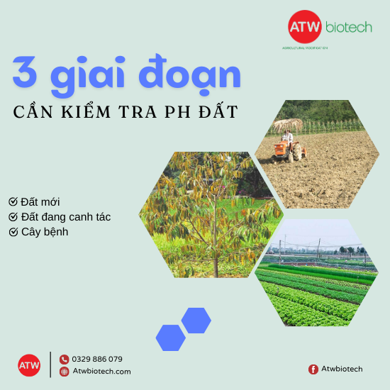 Khi nào cần kiểm tra pH đất