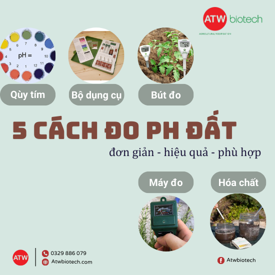 5 cách đo pH chuẩn