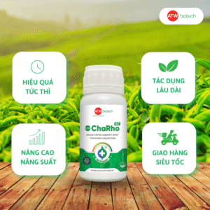 ATW ChaRho SC - Sản phẩm phòng trị bệnh nấm hồng hiệu quả, an toàn