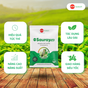 Giải pháp tiêu diệt nhanh chóng bọ dưa