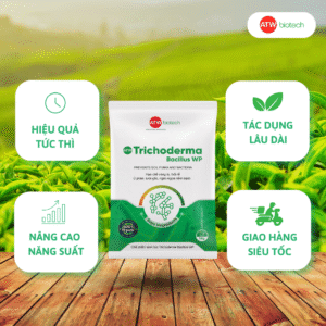 Sản phẩm hỗ trợ cải tạo đất an toàn, hiệu quả
