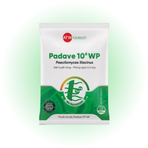 Đặc trị tuyến trùng sinh học – Padave 10⁶ WP