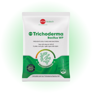 Ủ phân hữu cơ, cải tạo đất – Trichoderma Bacillus WP