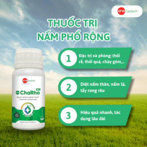 ATW ChaRho - Tăng cường vi sinh, phòng trừ nấm bệnh hiệu quả