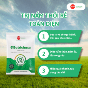 ATW Batricha WP - Giải pháp phòng trừ nấm bệnh được hàng ngàn bà con tin dùng