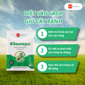 ATW Sauray WP - Lá chắn sinh học bảo vệ cây trồng khỏi bọ xít muỗi