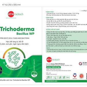 Chế phẩm Trichoderma Bacillus WP diệt nấm bệnh, cải tạo đất