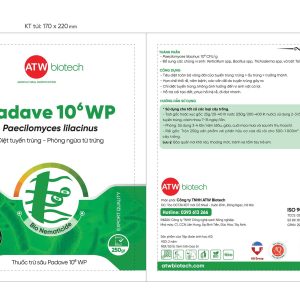 Thuốc trị tuyến trùng rễ Padave 10⁶ WP bảo vệ rễ an toàn