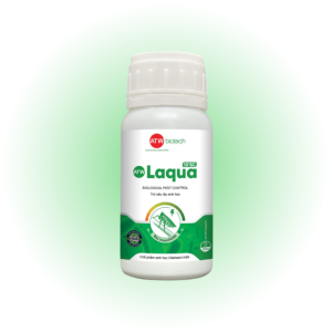 Đặc trị sâu rầy, sâu vẽ bùa, bọ trĩ -  Laqua 10⁶ SC