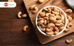 Điều Việt Nam xuất khẩu ra nước ngoài
