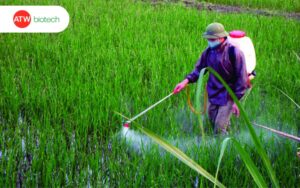 tại sao đất lại chua