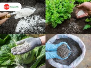 gợi ý 4 cách cải thiện đất với vôi, kali cacbonat, tro và lân