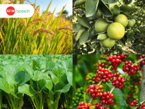 độ pH khác nhau với từng loại cây trồng