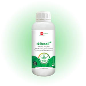 Phục hồi đất nhiễm mặn, khử chua, hạ phèn - ATW Resoil