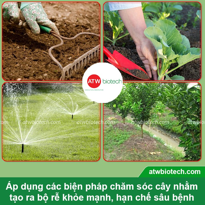 Thuốc kích rễ cho cây ATW RootUp hỗ trợ bảo vệ, ra rễ nhanh