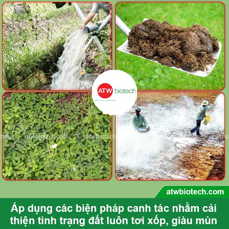 Chế phẩm sinh học cải tạo đất ATW Resoil khử mặn, hạ phèn