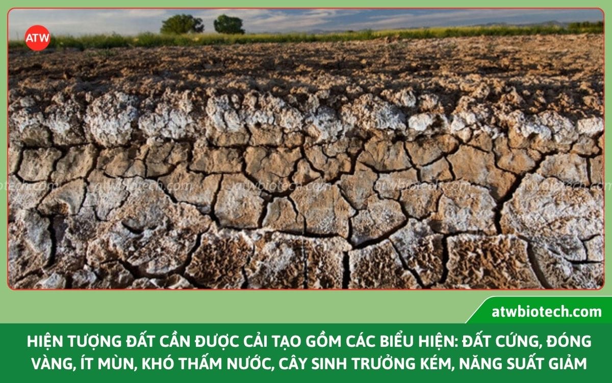 Chế phẩm sinh học cải tạo đất ATW Resoil khử mặn, hạ phèn
