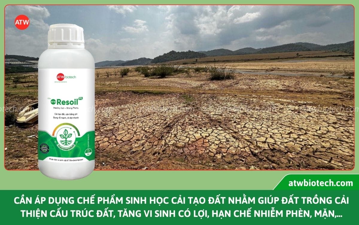 Chế phẩm sinh học cải tạo đất ATW Resoil khử mặn, hạ phèn