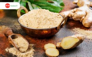 Gừng - Gia vị vàng, giá trị cao