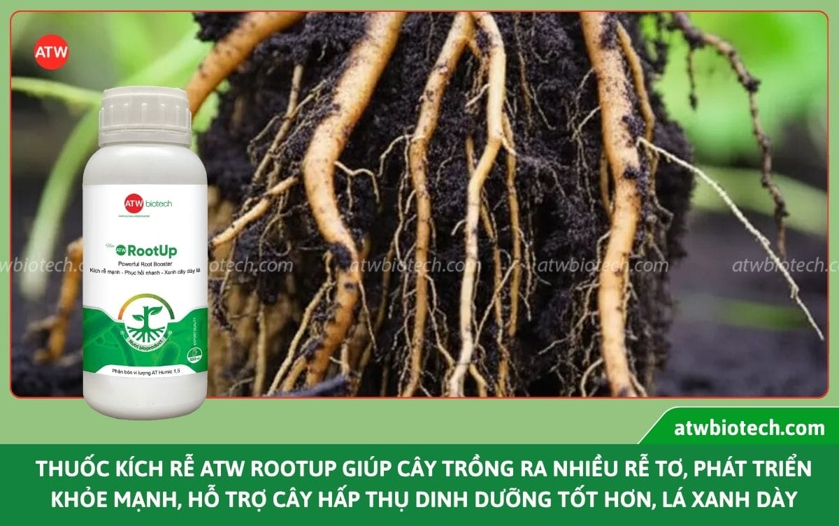 Thuốc kích rễ cho cây ATW RootUp hỗ trợ bảo vệ, ra rễ nhanh