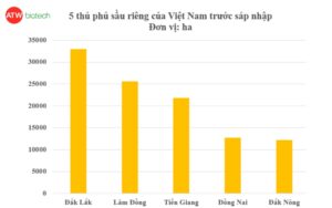 Trước sáp nhập, Đắk Lắk đứng vị trí đầu tiên về diện tích trồng sầu