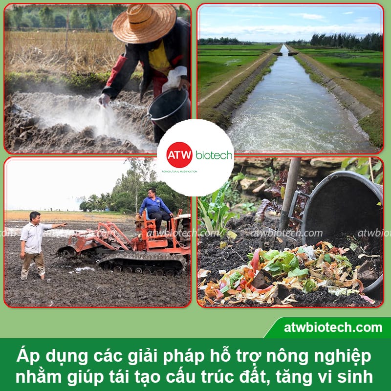 Các giải pháp hỗ trợ nông nghiệp giúp cải tạo đất bền vững