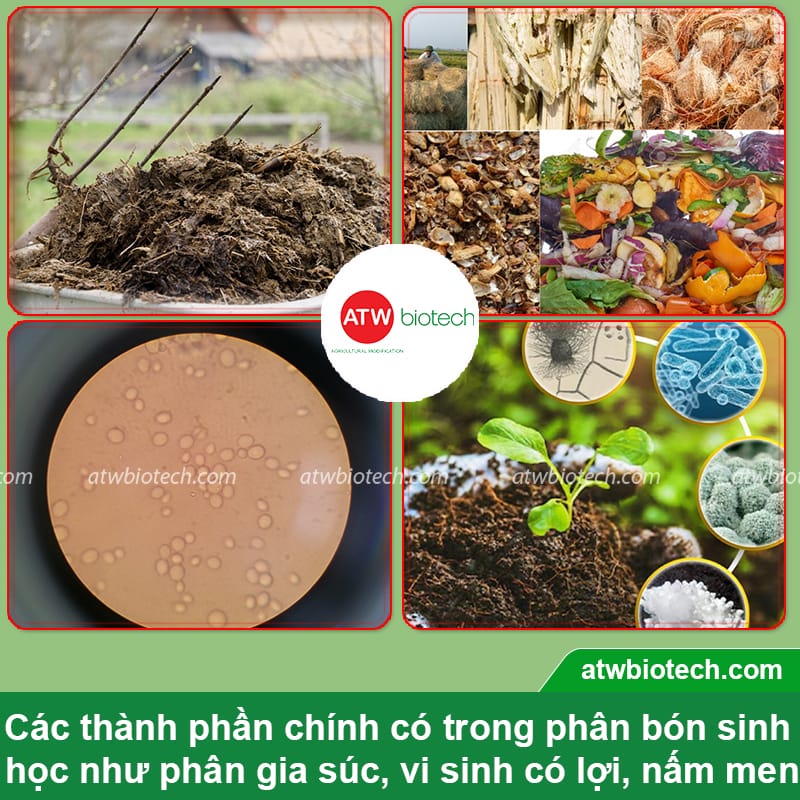 Top các loại phân bón sinh học, giải pháp canh tác bền vững