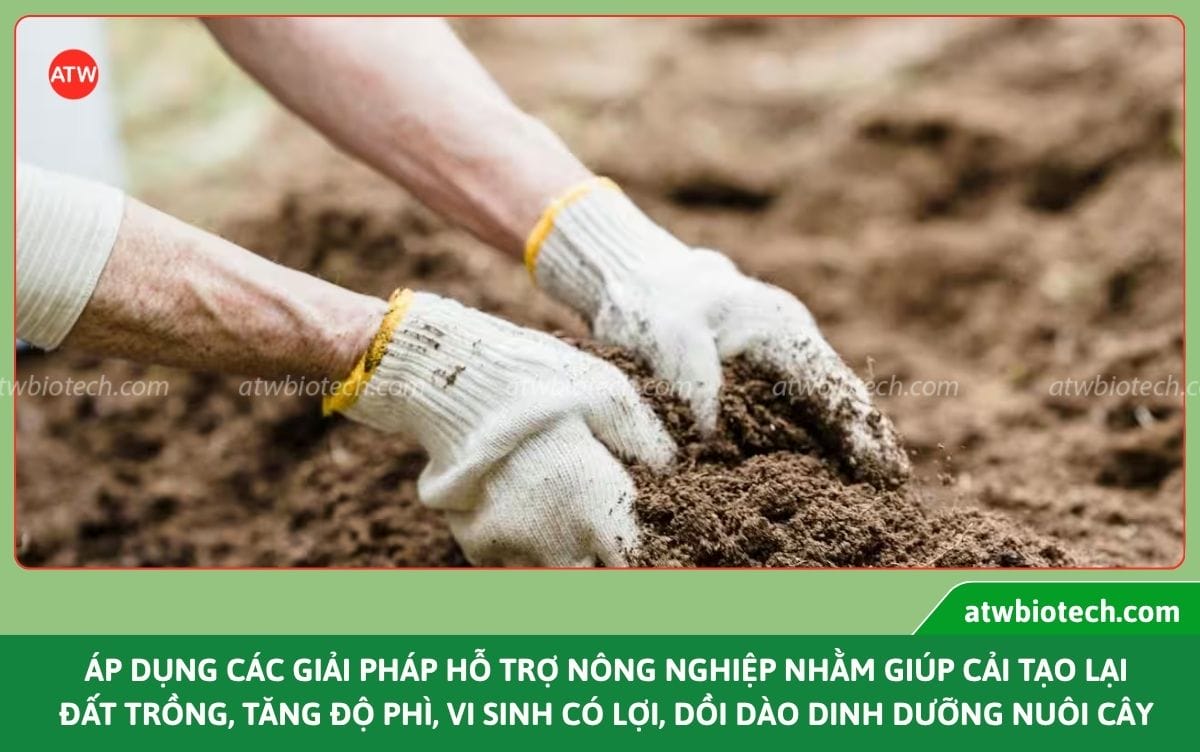 Các giải pháp hỗ trợ nông nghiệp giúp cải tạo đất bền vững