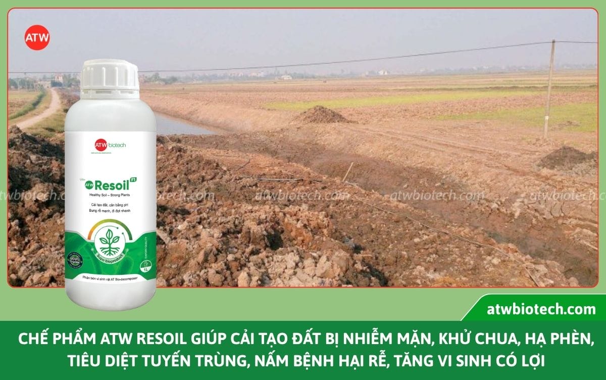 Các giải pháp hỗ trợ nông nghiệp giúp cải tạo đất bền vững