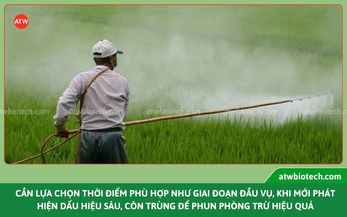 Thuốc trừ sâu sinh học: Giải pháp trừ sâu an toàn, hiệu quả