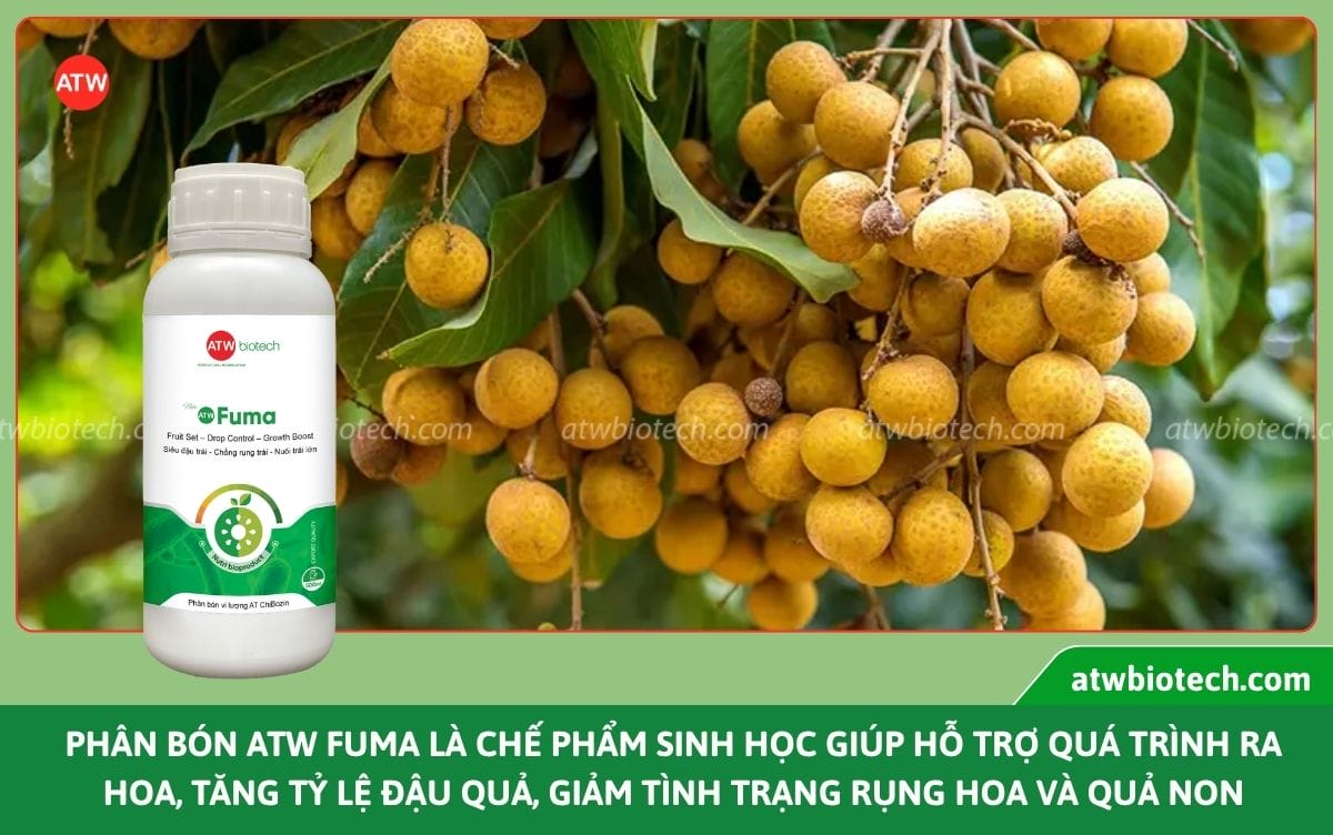 Top các loại phân bón sinh học, giải pháp canh tác bền vững
