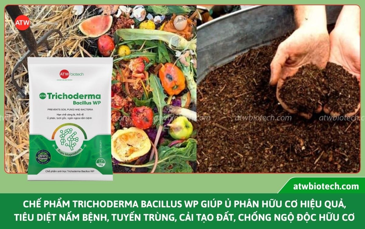 Các giải pháp hỗ trợ nông nghiệp giúp cải tạo đất bền vững