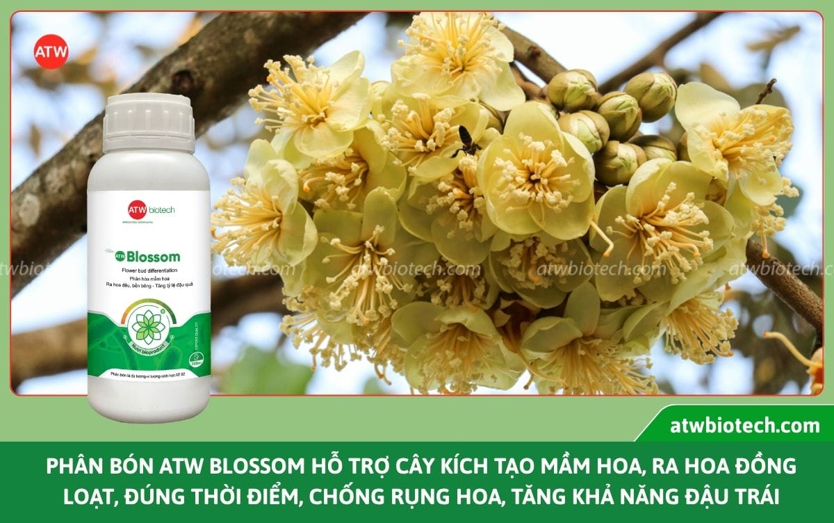 Top các loại phân bón sinh học, giải pháp canh tác bền vững