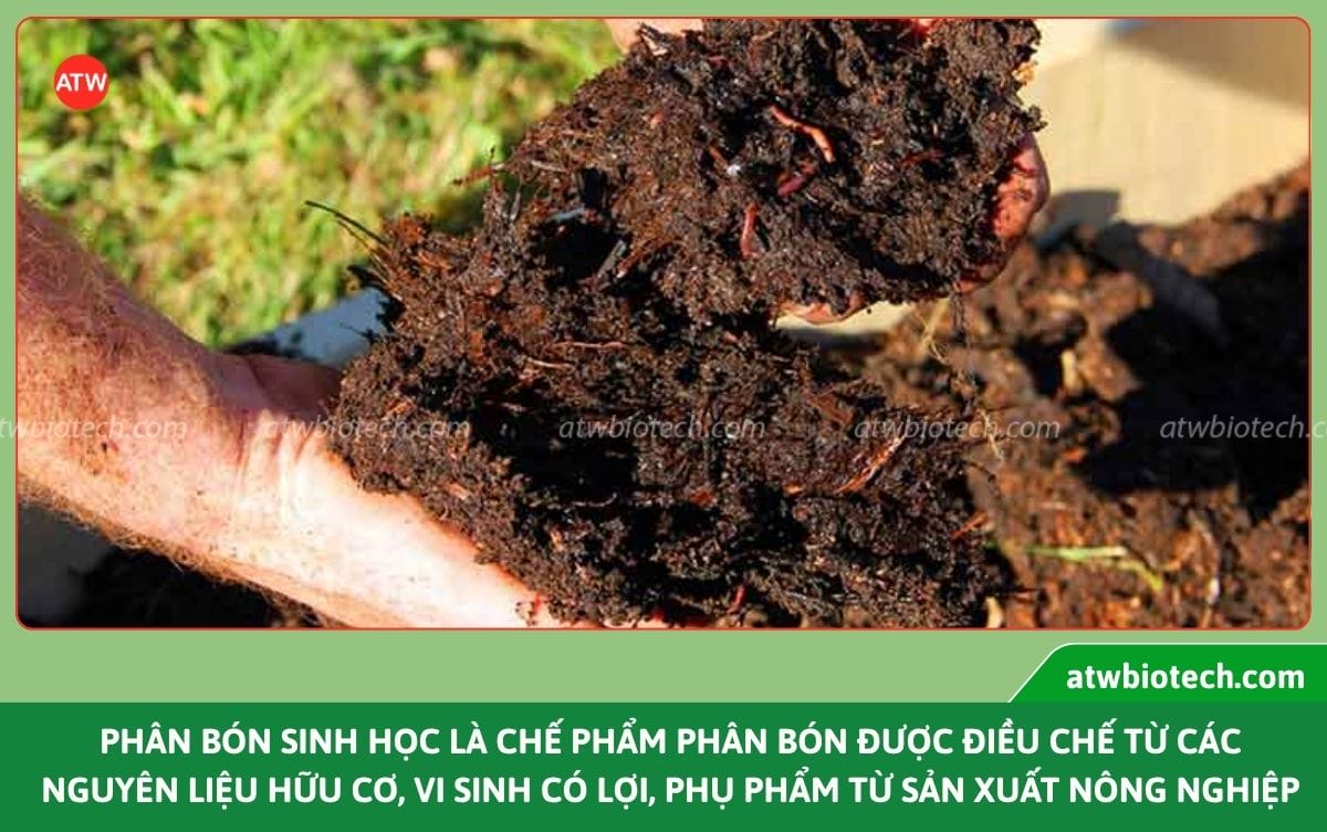 Top các loại phân bón sinh học, giải pháp canh tác bền vững