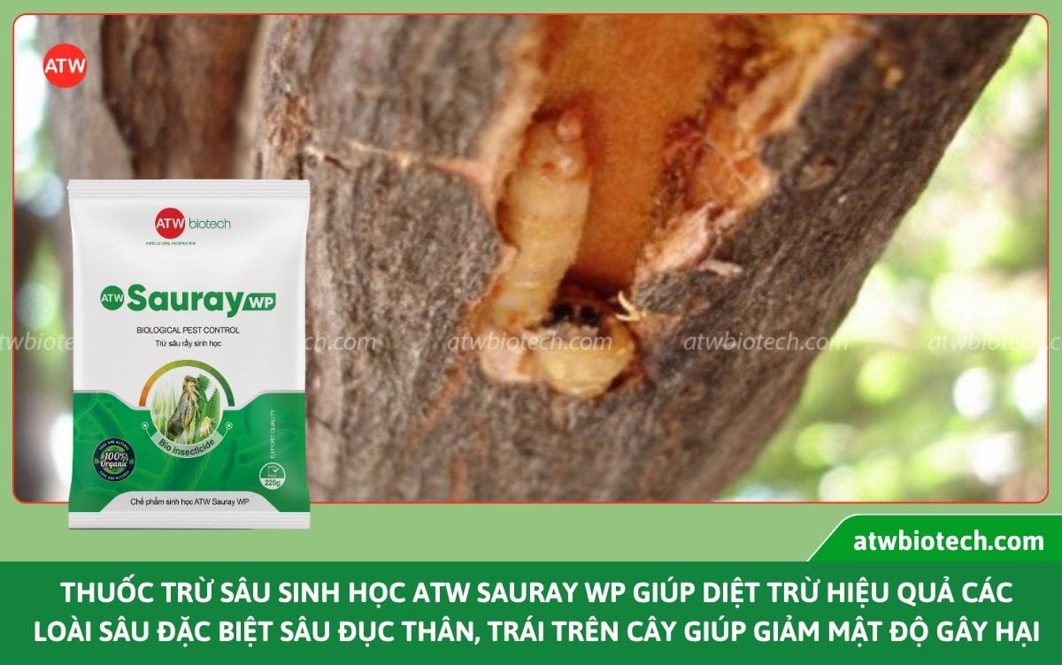 Thuốc trừ sâu sinh học: Giải pháp trừ sâu an toàn, hiệu quả