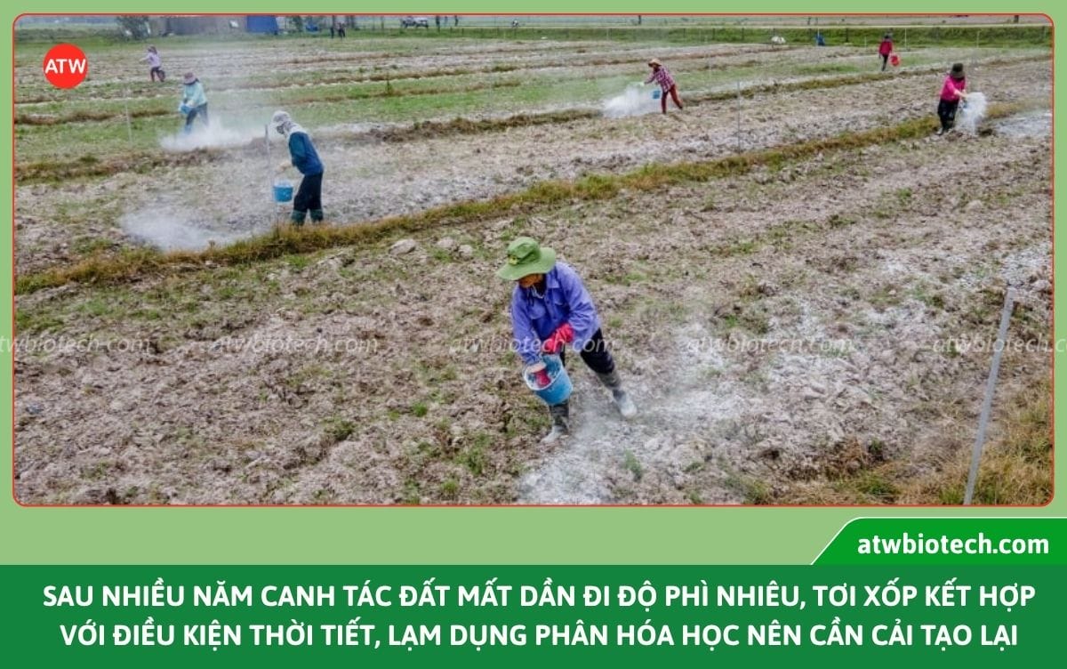 Các giải pháp hỗ trợ nông nghiệp giúp cải tạo đất bền vững